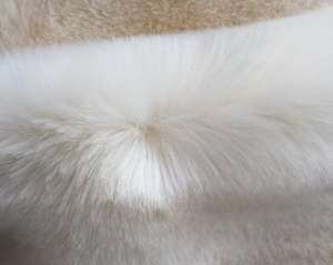 皮草可以用水洗嗎？貉子毛領(lǐng)怎么清洗？